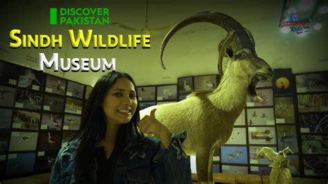 Sindh Wildlife Museum Discovery Ride Discover Pakistan Tv Youtube