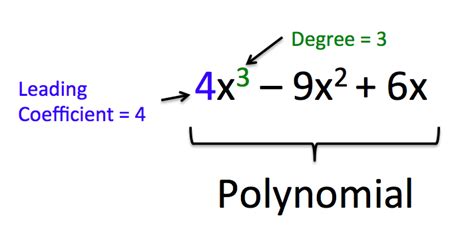 Read Define And Evaluate Polynomials Intermediate Algebra