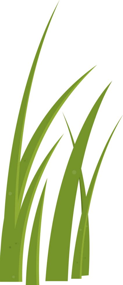 Cartoon Grass Leaves Clip Art 21612240 Png