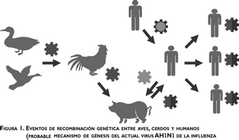 Respuesta en México al actual brote de influenza AH1N1