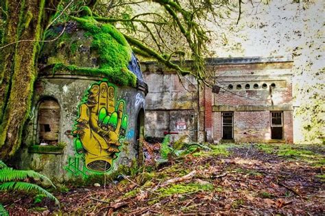 Abandoned Buildings In The Forest Of Vancouver Island 960 640