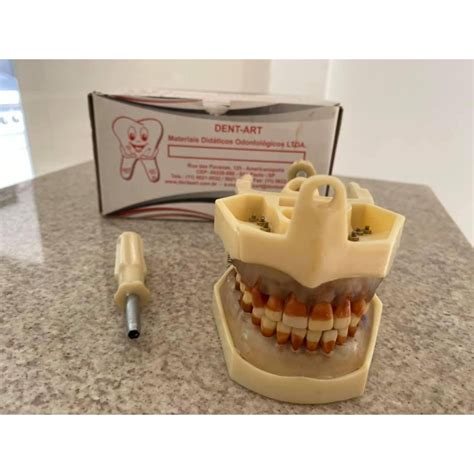 Manequim Periodondia Dentart Shopee Brasil