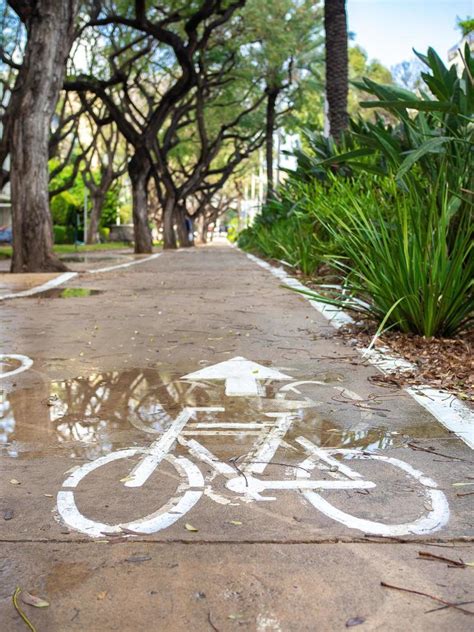Concrete Bike Lane Among Green Plants 1263978 Stock Photo At Vecteezy