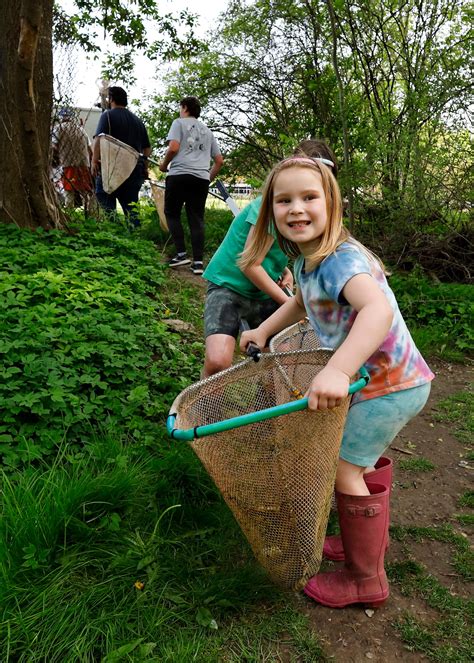 Conservation group stocks 800 trout in Ninemile Creek, a ‘stellar gem