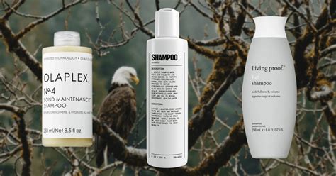 12 Best Shampoos And Conditioners For Hair Loss Rthiscelebrity