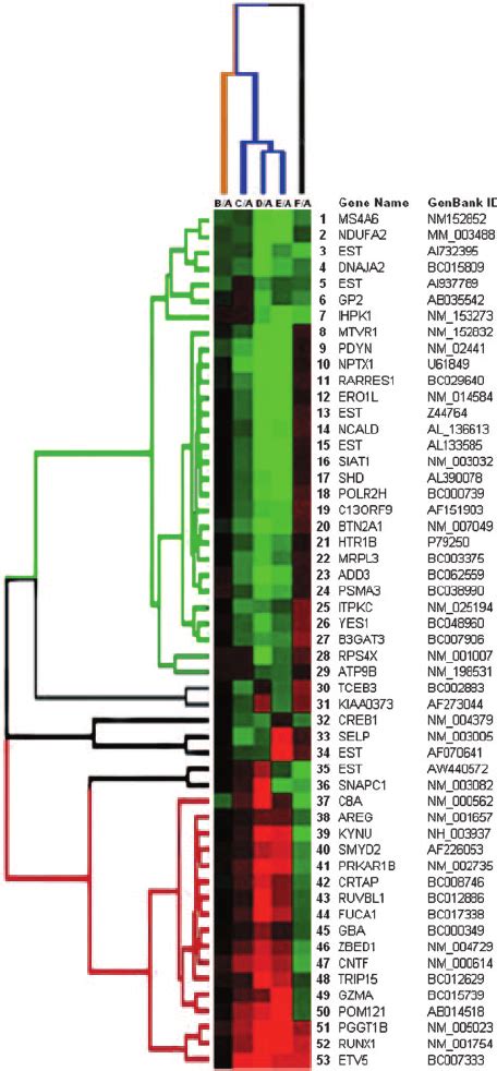 Gene Cluster Analysis Gene Expression Values For The Indicated Genes Download Scientific