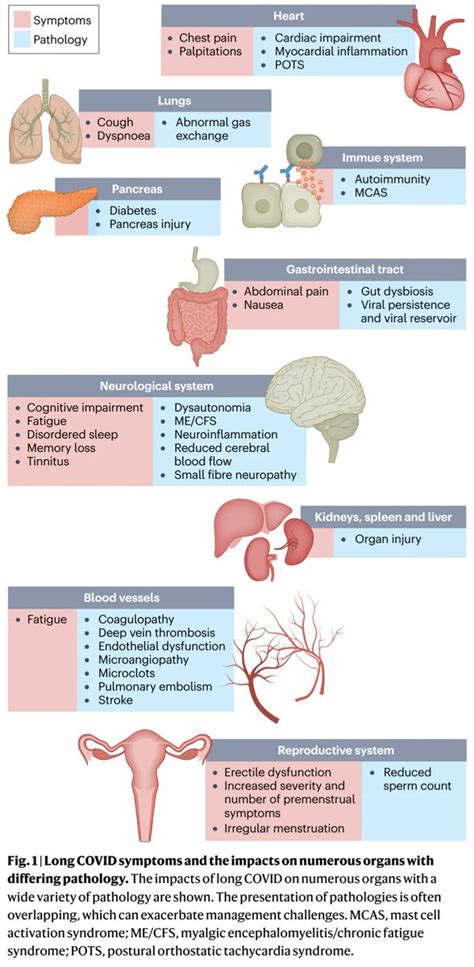 Medclub On Twitter Infectolog A Medicinainterna S Ntomas De Long