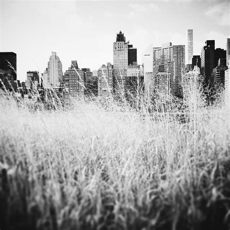 New York Grass - Efva Attling