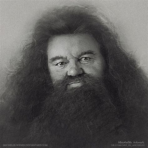 How To Draw Hagrid From Harry Potter Ernestine Hadact