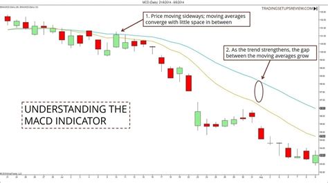 Macd Basic Trading Setup With Detailed Examples Trading Setups Review