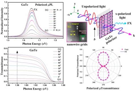 Nanowire Grid Polarization And Polarized Excitonic Emission Observed In