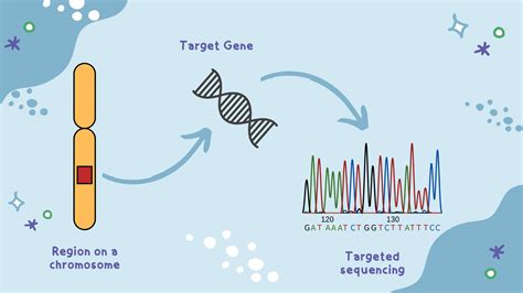 What Is Targeted Sequencing And How Does It Work Genetic Education