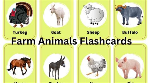 Learn Farm Animals Through Flashcards/ Farm Animals and their Sounds ...