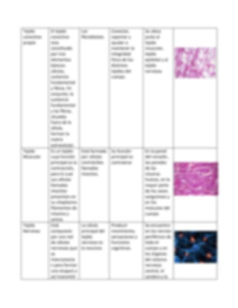 Solution Cuadro Sobre Tejidos Del Cuerpo Humano Studypool