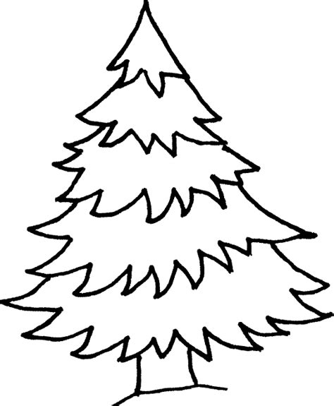 Coloring Fir Tree Picture