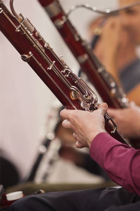 Bassoon Bassoons Classical Music Instrument Isolated On White Background Woodwinds Musician