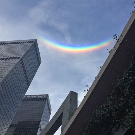 Circumzenithal arc - Cloud Appreciation Society