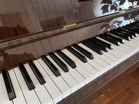 Pianino Calisia M Giera Towice Olx Pl