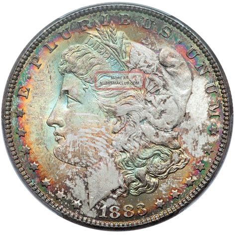 Morgan Silver Dollar Pcgs Ms Cac Wild Bora Bora Blue Neon