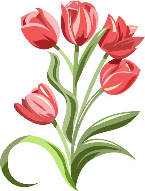 Tulip Png Graphic Clipart Design 22149477 Png