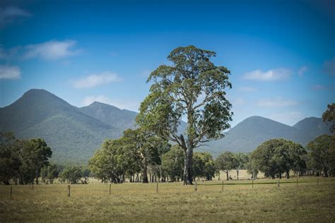 Gambar Pemandangan Pohon Outdoor Horison Gurun Gunung Awan