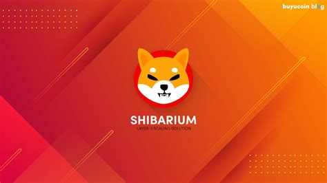 Explained What Is The Shibarium Blockchain Moralis Academy