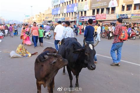 普里（puri）是印度东海岸奥里萨邦一处印度教圣城城市普里印度教奥里萨邦新浪新闻