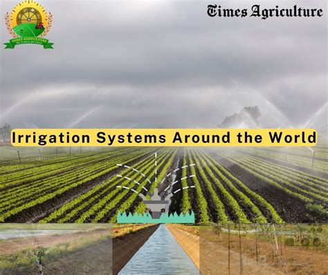 Irrigation System Around The World Times Agriculture