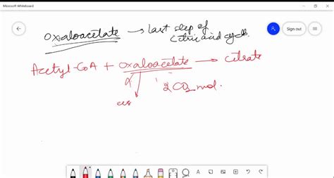 SOLVED Oxaloacetate Is Formed In The Last Step Of The Citric Acid