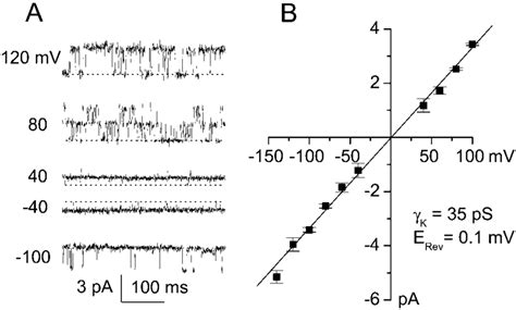 Single Channel Currents Recorded In An Inside Out Patch A Original