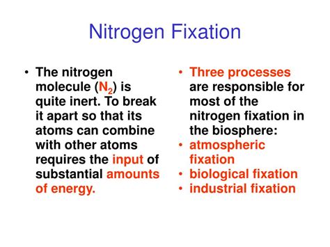 Ppt Nitrogen Fixation Powerpoint Presentation Free Download Id4437387