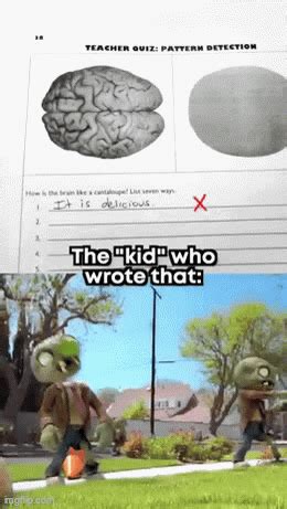 Animated GIF - Imgflip