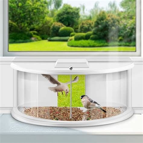 Amazon Sylaza Window Bird Feeder Inside House Window Bird