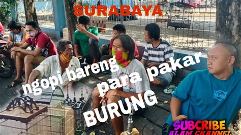 Pasar Burung Kupang Surabaya Ketemu Dulur Dulur Pakar Burung Youtube