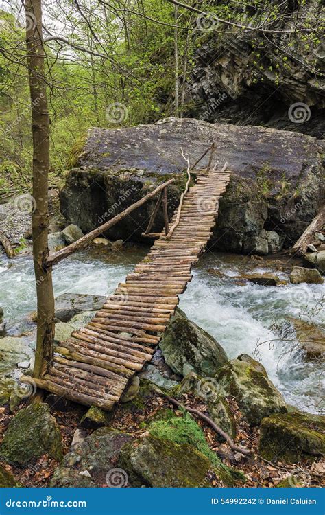 Old Wooden Bridge Over A River In The Forest Stock Photo Image Of