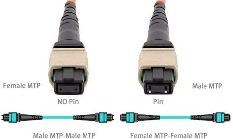 Mtp To Mtp Female Om4 12f Mtp Trunk Cable Omc