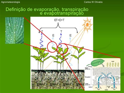 Aula Evapotraspiração
