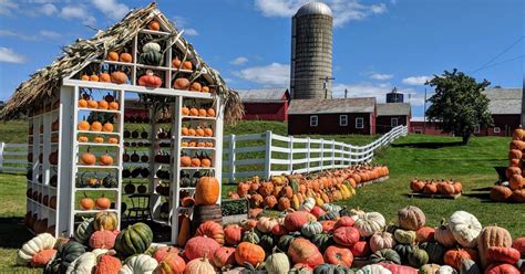 Top Fall Farm Activities Near Glens Falls, NY for Families