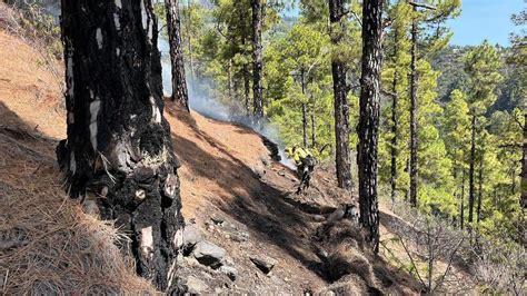 INCENDIO LA PALMA El Incendio De La Palma Se Da Por Estabilizado Y