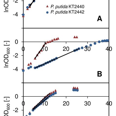 Pha Content In P Putida Kt2440 And Kt2442 Cultivated On Citrate