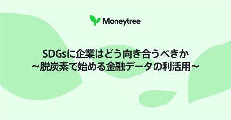 Sdgsに企業はどう向き合うべきか〜脱炭素で始める金融データの利活用〜｜link Blog