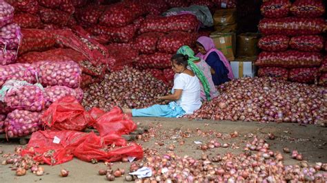 Government Imposes Export Duty On Onions To Check Price Rise