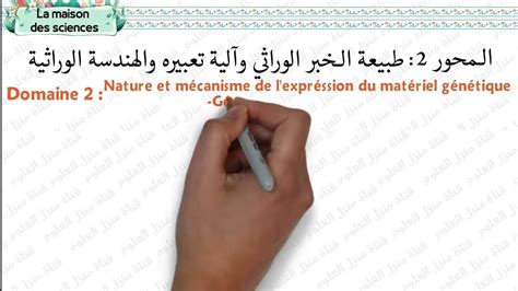 Nature Et M Canisme De L Expression Du Mat Riel G N Tique Bac Svt