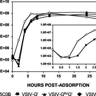 Single Step Growth Curves Of Wild Type And Recombinant Viruses In