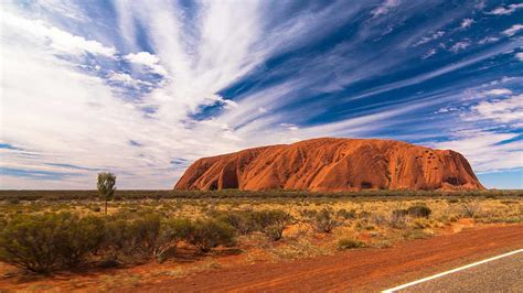 15 Lugares Obligatorios De Australia Que Debes Visitar Dingoos