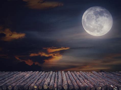 Halloween Night Moon clouds Backdrop for Photography DBD-H19002 – Dbackdrop