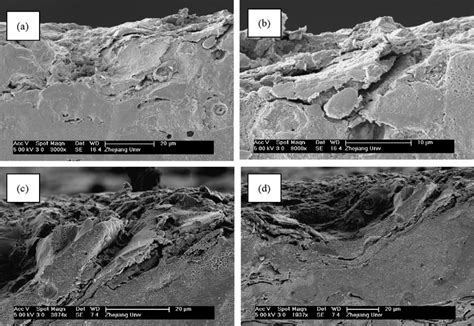 Cross Sectional Sem Morphologies Of The Coatings After The High