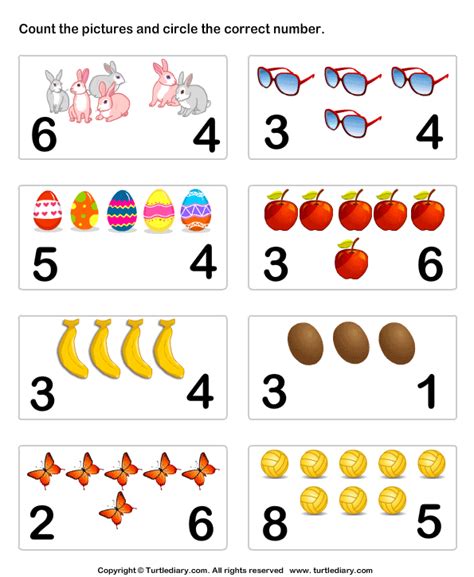 Count And Identify Number Of Objects Worksheet Turtle Diary