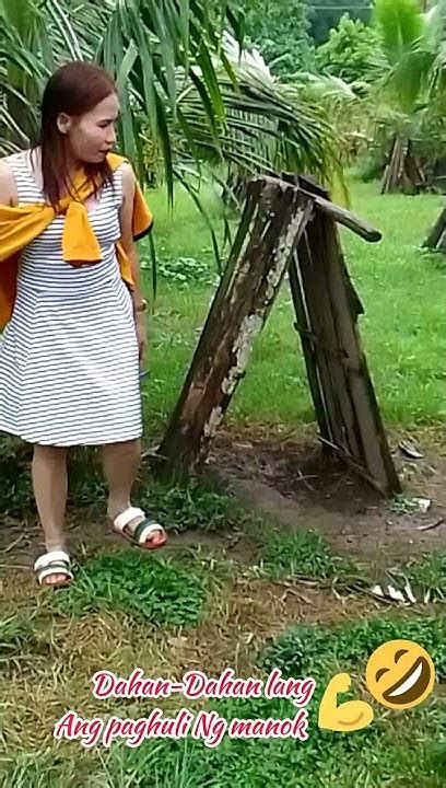 Dahan Dahan Lang Sa Paghuli Ng Manok 😂🤩🐓🐔 Youtube