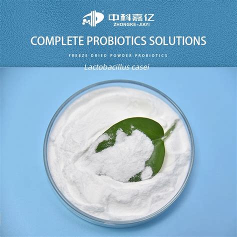 Food Grade Lactobacillus Casei Probiotics Powder For Intestinal Health